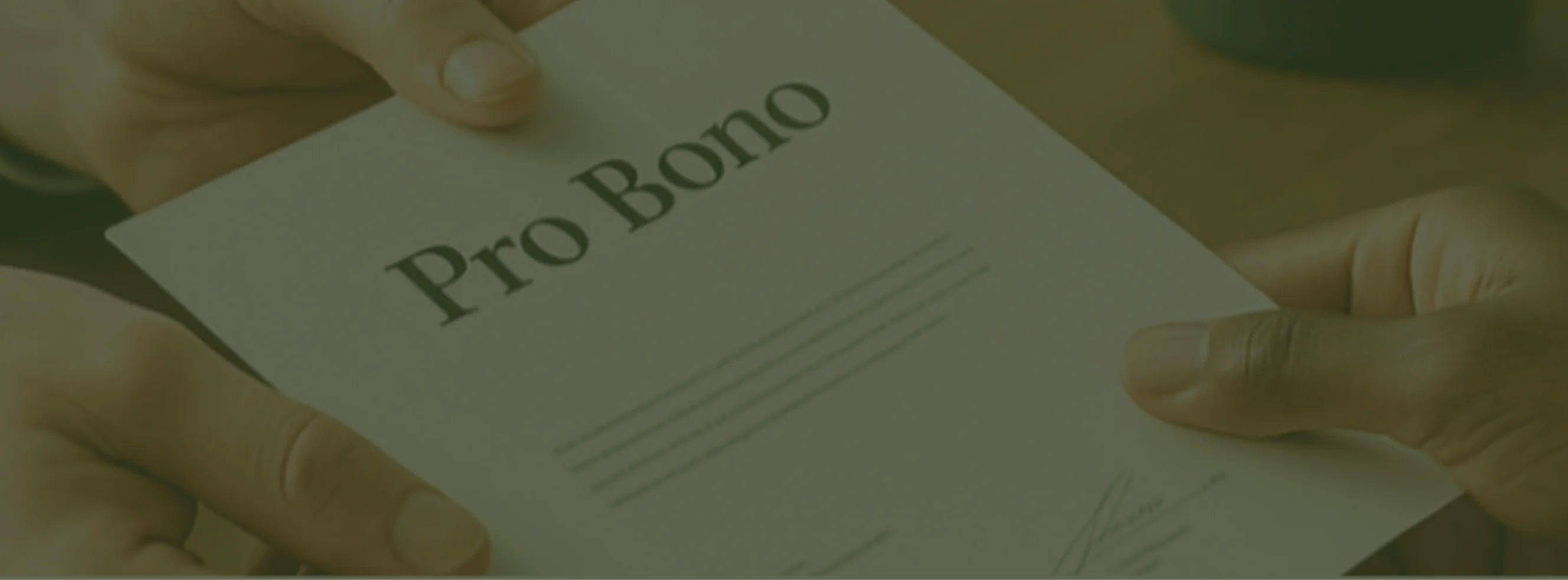 Pro Bono